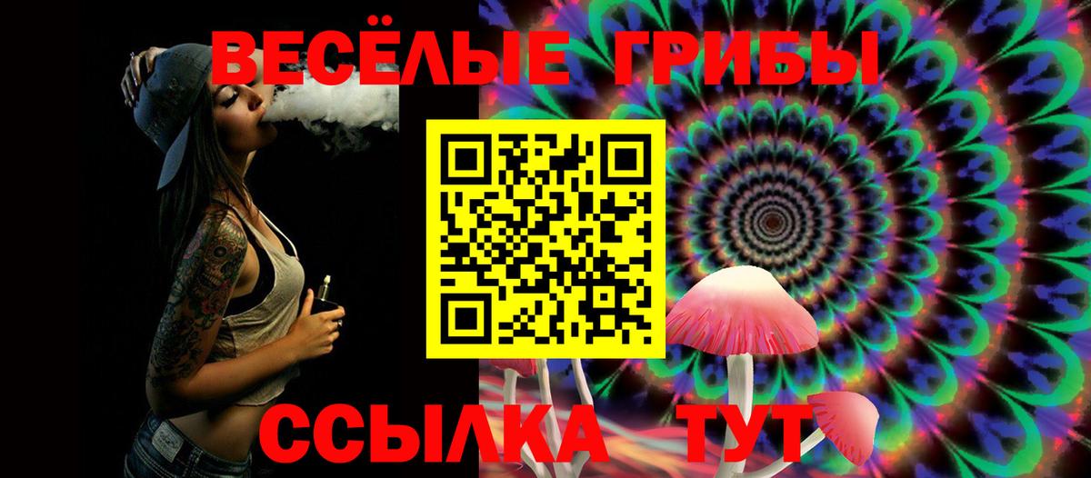 Псилоцибиновые грибы Psilocybe Михайловск