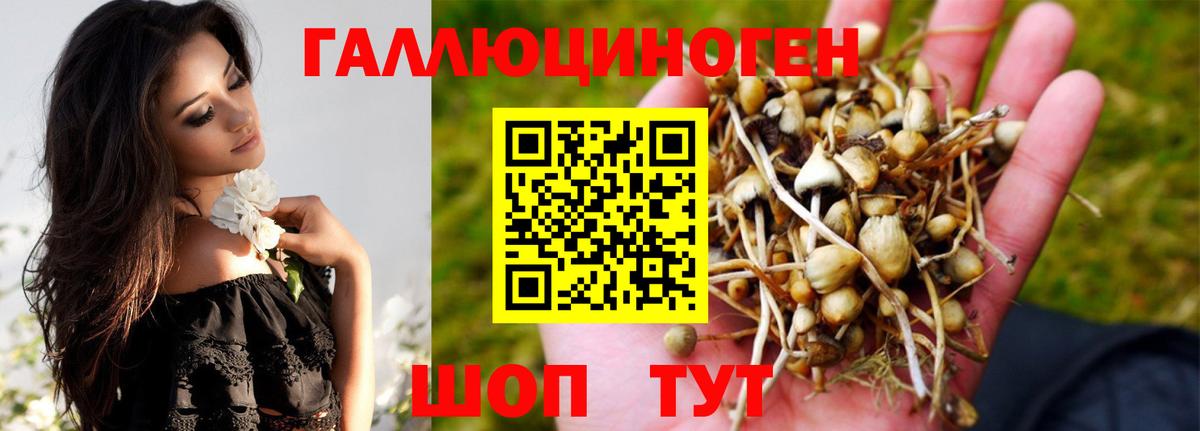 Галлюциногенные грибы мицелий  Вход с VPN  Михайловск 